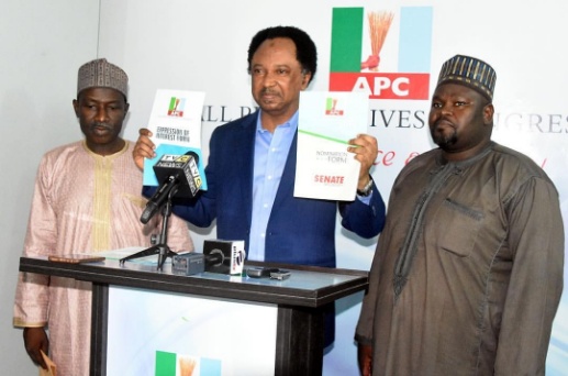 Shehu Sani: Those fighting for daily bread are buying nomination form