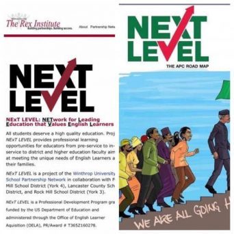 Next Level logo: Buhari stole the concept -PDP