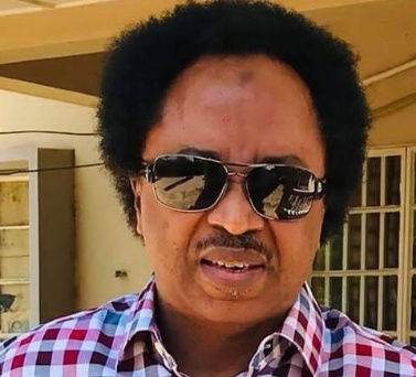 El-Rufai please tell your wife to stop talking about my hair-Sani