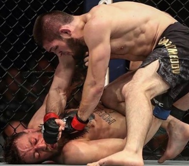 Malignaggi:You will live with this shame for life-khabib replies Conor