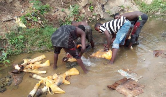 FCT Abattoirs wash in faeces infested stream in Abuja