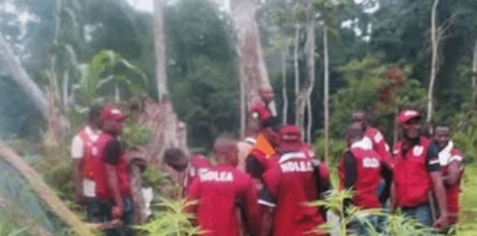 NDLEA arrests 72 suspected drug peddlers in Edo