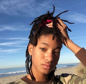 Willow Smith gets an offer to direct an Adult rated film