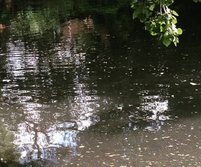 Police discover unidentified corpse in Ringim pond Jigawa