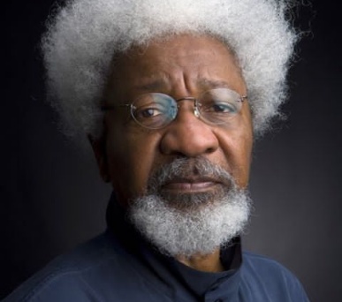 Nigeria is building a generation of illiterates- Wole Soyinka blast Youths