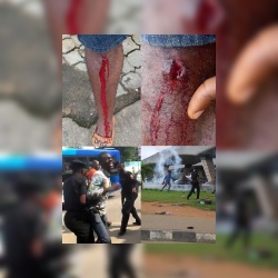 Revolution: Security agents arrest protesters at the national stadium