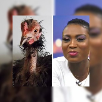 Actress Juliet Ibrahim calls a Ghanaian OAP a Chicken for her views