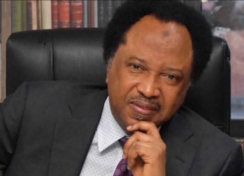 Obidients Are More Peaceful Than Buhari's Supporters In 2011 - Shehu Sani