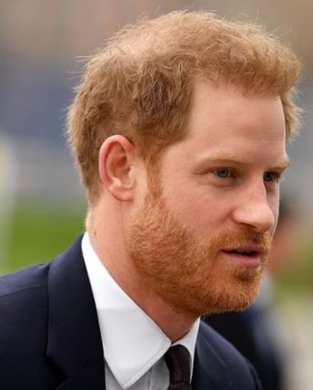 Duchess Meghan Markle Spotted In Canada With Son And Her Dogs