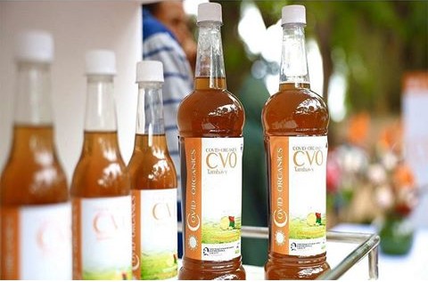COVID-19: WHO Warns Africa Against Using Untested Remedies