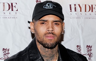 Chris Brown's Dog Incident: Woman Sues Singer