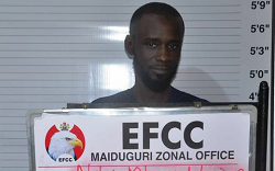 Employment Scam: Man Bags 3 Months Jail Term In Borno