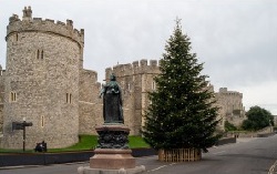 Windsor Castle Armed Intruder Arrested By Police