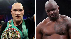 WBC Boxing Champion Fury Ordered To Face Dillian Whyte