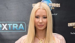 Rapper Iggy Azalea Blamed For Missed Flight