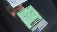 Green Insurance Sticker On The Way Out - Reports