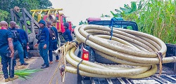 Operatives Of NSCDC Arrest 4 Suspected Oil Thieves