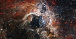 Tarantula Nebula Image Caught By NASA's Webb Telescope