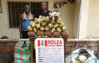 Sokoto Village Head, 10 Others Arrested Over Opioid Pills