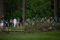 Augusta National Golf Course: Massive Trees Fall On Course During Masters, Nearly Crush Patrons