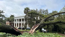 Hurricane Idalia: Ron DeSantis' Home Hit By Huge Oak Tree