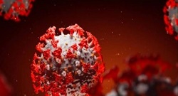 COVID-19: Nearly 10,000 People Died In December - WHO