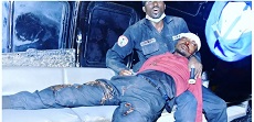 NDLEA Officers Attacked In Edo Forest