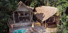 Zanzibar: 8 Kids, 1 Adult Dead After Eating Sea Turtle Meat