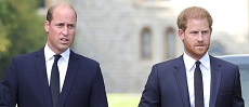 Prince William And Prince Harry Honour Late Mom Princess Diana With Separate Appearances