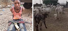 Suspected Bandit Arrested As Police Raid Hideout In Abuja