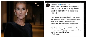 Celine Dion Teases 'Endless Possibilities' in 2025 After Olympics Comeback