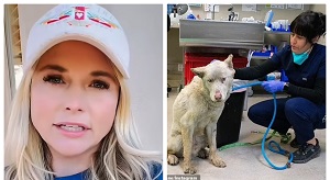 Miranda Lambert helps raise over $200K for animal victims of the LA fires