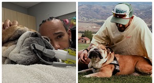 Lewis Hamilton Announces The Death Of His Dog Roscoe
