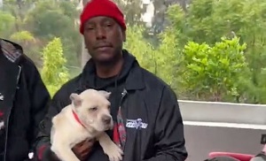 Tyrese Gibson Wanted On Animal Cruelty Charge In Atlanta