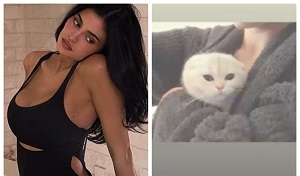 Kylie Jenner Shares Photos Of New Cat In Instagram Drop