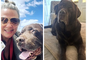 Ant McPartlin And Lisa Armstrong Cremate Dog And Split Ashes 50/50